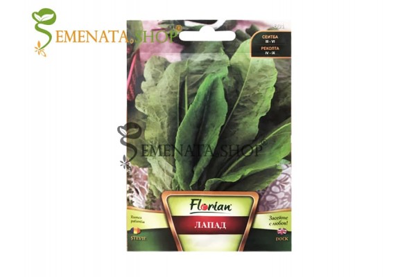 Семена на градински Лапад - Rumex patientia Семена на градински Лапад - Rumex patientia